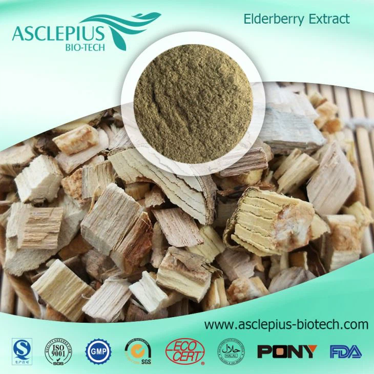 Svart fläderextraktpulver/svart fläderfruktjuicepulver Leverantör grossist