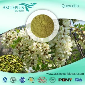 Hypericum Ascyron L.extract Powder Supplier Grossist/inklusive Quercetin Complex Powder,quercetin Dihydrate,isoquercitrin