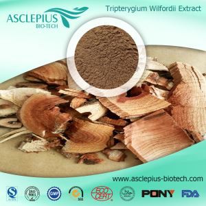 Thunder God Vine Extract Supplier Grossist / de aktiva ingredienserna är Triptolid, Celastrol, Celastrol Extract
