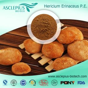 Hericium Erinaceus extraktpulver,hericiumleverantör Grossist