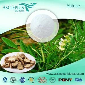 Sophora Flavescens extraktleverantör grossist/aktiva ingredienser är Oxymatrine, Matrine