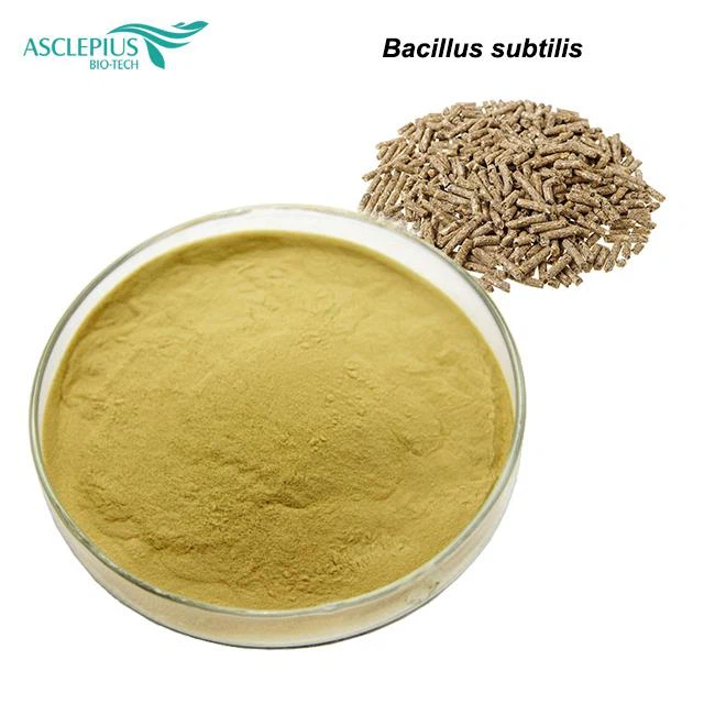 Bacillus Subtilis Fermentationsbakterier/Bacillus Subtilis Fungicid